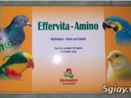 Một số sản phẩm cần thiết cho CHÓ, MÈO, CHIM, GÀ cưng của bạn !!