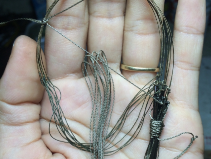 Buôn bán Dò bẫy Cu gáy sỉ và lẻ