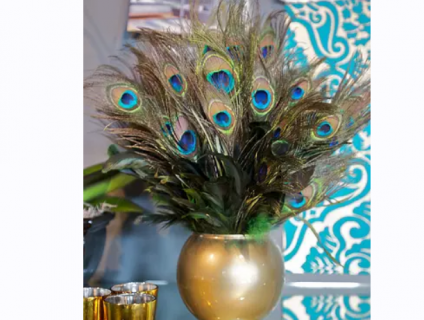 Bán lông công tự nhiên dùng trang trí phòng khách hay phòng làm việc .