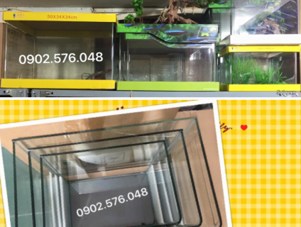 Hồ cá - hồ đúc - cung cấp sỉ và lẻ