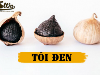 Tỏi Đen Ngâm Rượu Cách Làm Và Tác Dụng