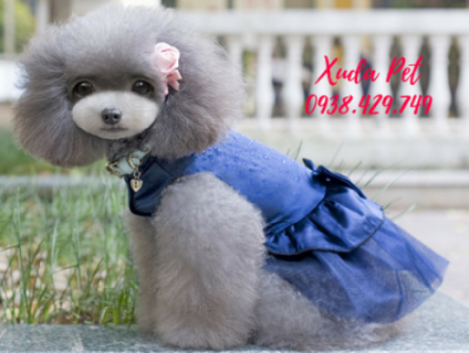 VÁY ĐẦM CHÓ MÈO CỰC XINH DỰ TIỆC