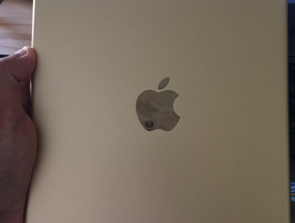 Em bán iPad Air 2 16gb - bản 4G - màu gold đẹp 99%