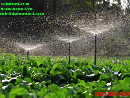 Tưới phun mưa, vòi tưới phun mưa cỡ vừa, vòi tưới phun mưa cỡ lớn