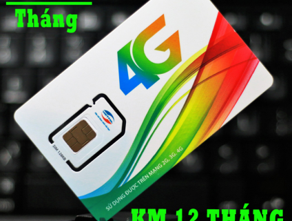 BÁN SIM 3G 4G MIỄN PHÍ CẢ NĂM Gía 189k/12tháng ( CAM KẾT GIÁ RẺ NHẤT )