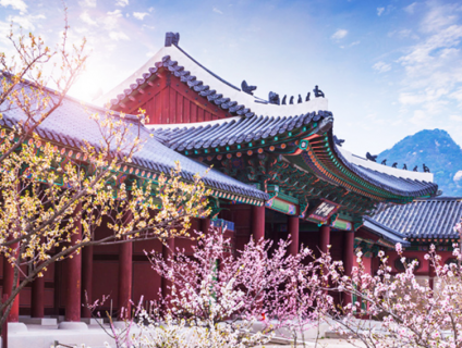 Tour du lịch Hàn Quốc: Seoul - Nami – Everland – Leo núi Bukhansan