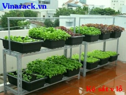 Giá Kệ Sắt V Đa Năng Thích Hợp Trồng Rau Sạch