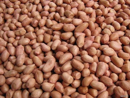 Cung cấp đậu phộng giá sỉ