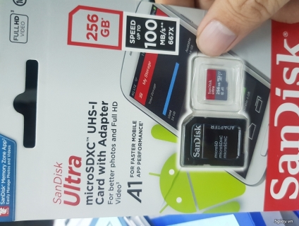 Sandisk ultra microSDXC uhs-1 256g