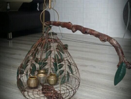 Chuyên nhận làm lụp bẫy cu gáy trên toàn quốc