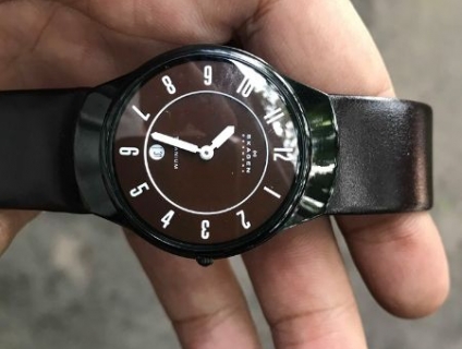 Đồng hồ  Skagen  . Seiko, Swatch  chính hãng giá tốt