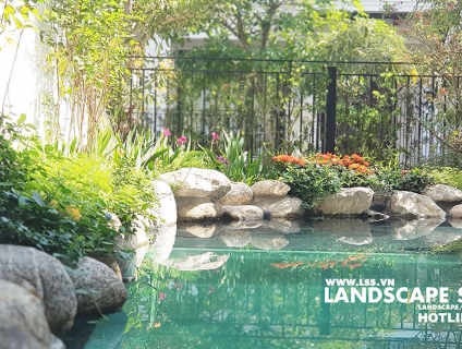 6 phong cách thiết kế Hồ Cá Koi đẹp nhất cho sân vườn biệt thự