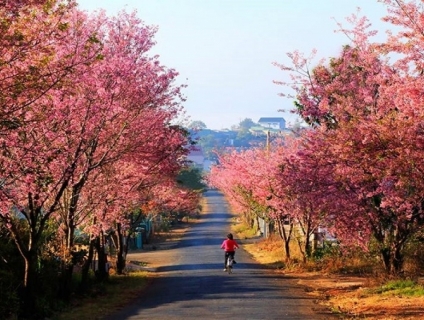 ĐÀ LẠT 3 NGÀY 3 ĐÊM NEW