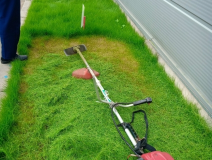 Cắt cỏ nhà máy , văn phòng , tòa nhà