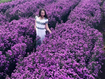 Điểm Check In Mới Ở Vũng Tàu Khiến Dân Tình Điêu Đứng