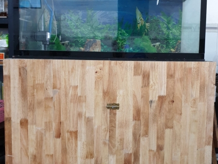 CẦN THANH LÍ HỒ CÁ GẤP, GIÁ RẺ