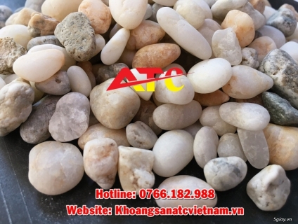 Sỏi biển, sỏi ba màu rải bể cá giá rẻ nhất Việt Nam
