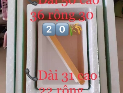 Ốc táo, psb, tim bò, trùng huyết