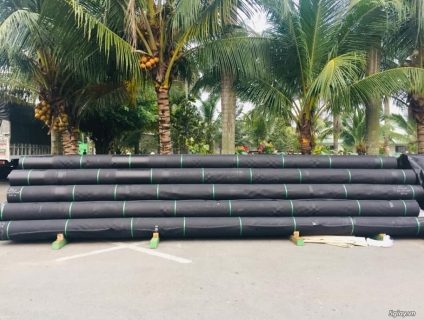 Màng Chống Thấm HDPE