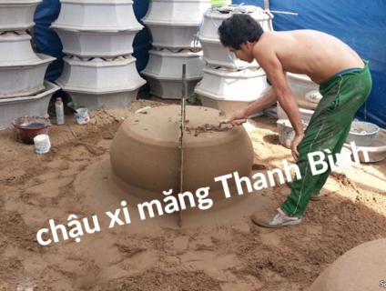 Cung cấp chậu xi măng và chậu nhựa ra kiểng