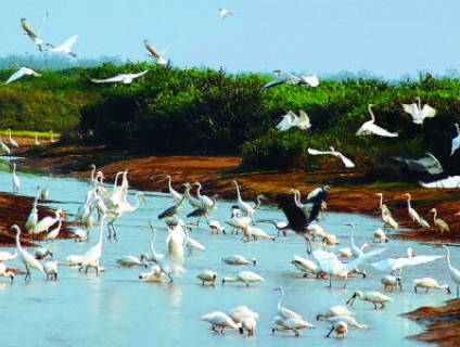 Top 4 Địa Điểm Chụp Ảnh Tuyệt Đẹp Tại Nam Định