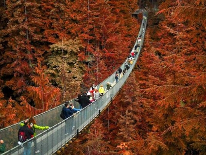 Những điểm đến du lịch hàng đầu ngày nay tại Canada