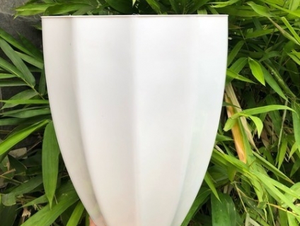 Công ty sản xuất chậu nhựa