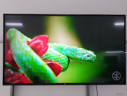 Tivi LG 55UJ632 4K SmartTV có sử dụng giọng nói.