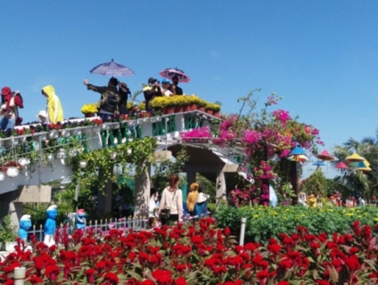 Những nơi hoa sẽ nở ở miền tây