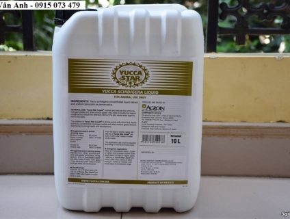 Cung cấp Yucca nguyên liệu giá sỉ