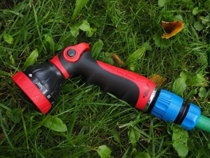 Cách tưới nước cho hoa lan hiệu quả người mới chơi cần biết