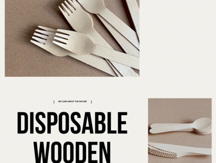 DAO MUỖNG NĨA GỖ DÙNG 1 LẦN - KEGO ECO