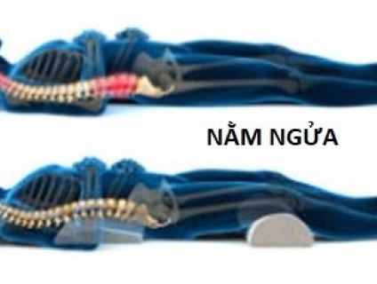 Combo bộ 3 gối bảo vệ cột sống cổ, lưng, kê chân khi ngủ