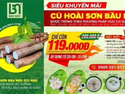 Hoài Sơn Bầu Mây - 119k