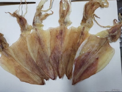 Cung cấp mực khô uy tín Đặc sản  Nam Du