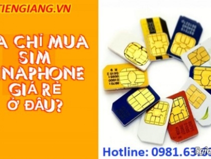 Bật Mí Địa Chỉ Mua Sim Vinaphone Giá Rẻ Tại Huyện Quỳ Hợp