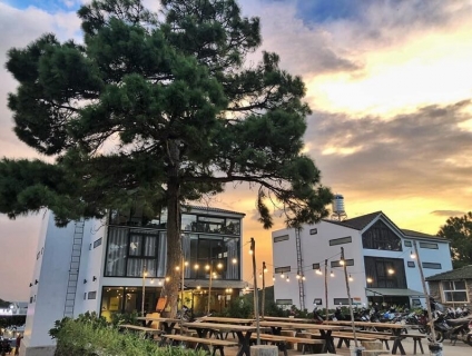 Spa Đà Lạt review 5 homestay Đà Lạt dưới 500k đẹp nhất