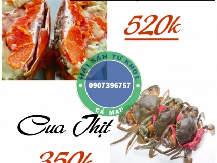 Cua Gạch Son  Cà Mau.(chính gôc)