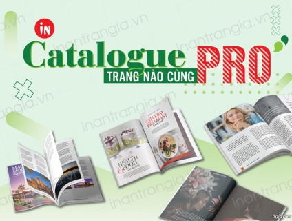 Thiết kế catalogue Pro - trang nào cũng Pro