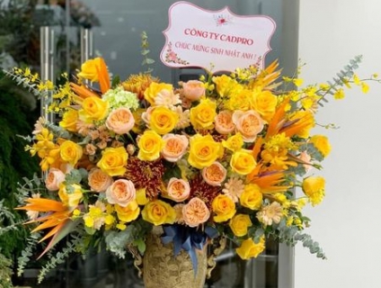 Những mẫu lẵng hoa khai trương để bàn đẹp