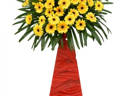 Đi dự lễ khai trương nên tặng hoa gì?