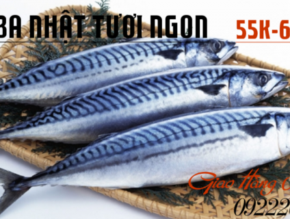 Cá Thu Nhập Khẩu Nhật