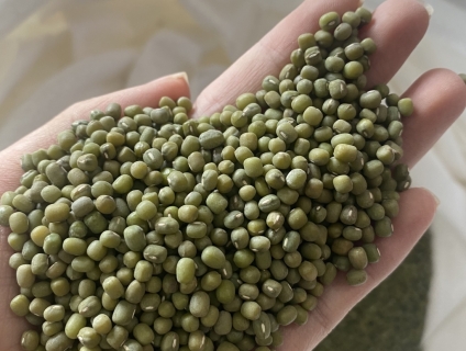 Cung cấp các loại đậu tại Dak lak