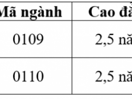TUYỂN SINH HỆ TC, CĐ, SC ĐIỀU KHIỂN TÀU BIỂN, KHAI THÁC MÁY TÀU BIỂN