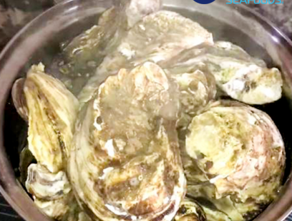 CÁCH CHẾ BIẾN HÀU NHẬT MỚI LẠ