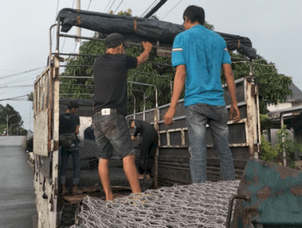 Các mẹo chọn mua Rọ đá