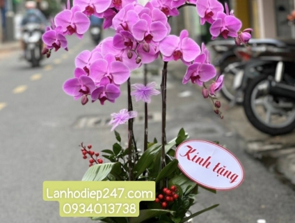 Dịch vụ điện hoa uy tín hàng đầu TPHCM - Điện Hoa 247 Sài Gòn