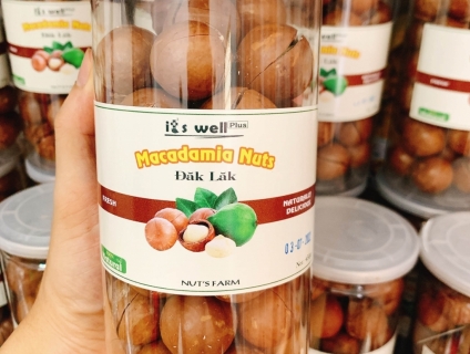 Hạt mắc ca Đăk Lăk (Macadamia nuts)