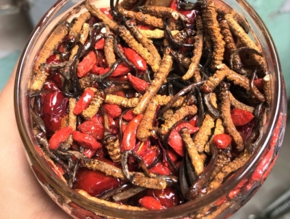 ĐÔNG TRÙNG HẠ THẢO NGÂM MẬT ONG - ORGANIC