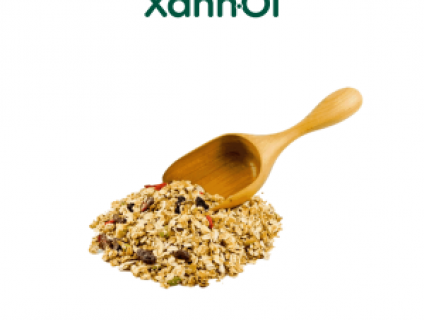 GRANOLA MIX 5 HẠT LOẠI HẠT 500G